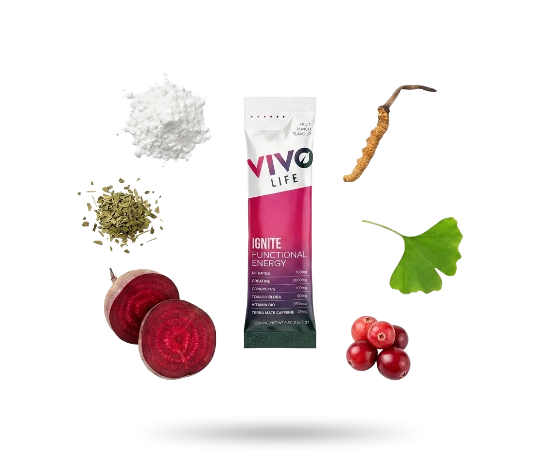 Składniki Vivo Life IGNITE: kreatyna, burak, yerba mate, kordyceps, miłorząb, witamina B12