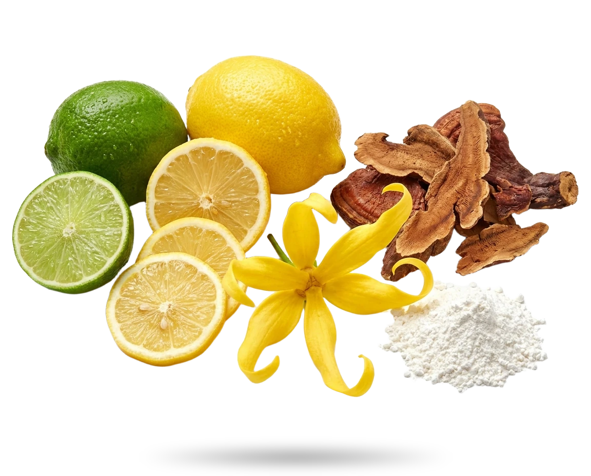 Składniki dezodorantu Yanumi Citrus Island: limonka, cytryna, ylang ylang, reishi i mączka z maranty