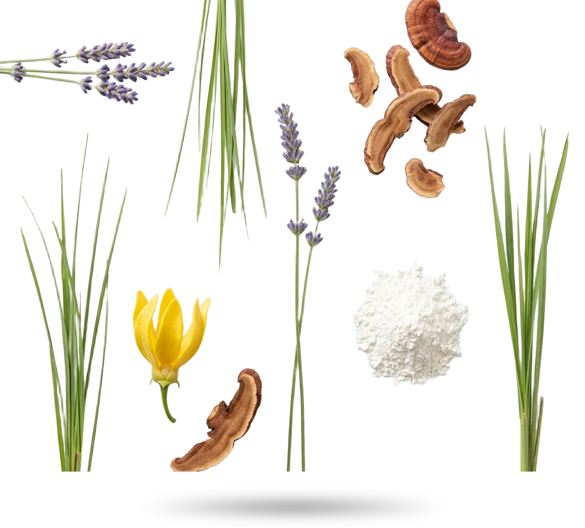 Składniki dezodorantu Yanumi Floral Gardens: lawenda, palmarosa, ylang ylang, reishi i mączka z maranty