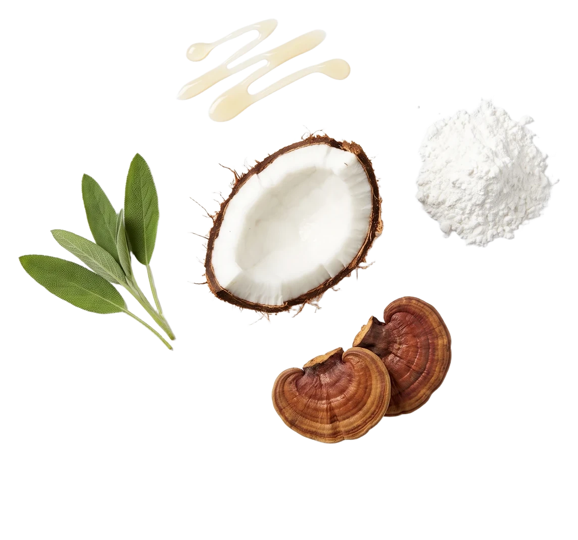Składniki bezzapachowego dezodorantu Yanumi Natural Earth: olej kokosowy, mączka z maranty, reishi i szałwia